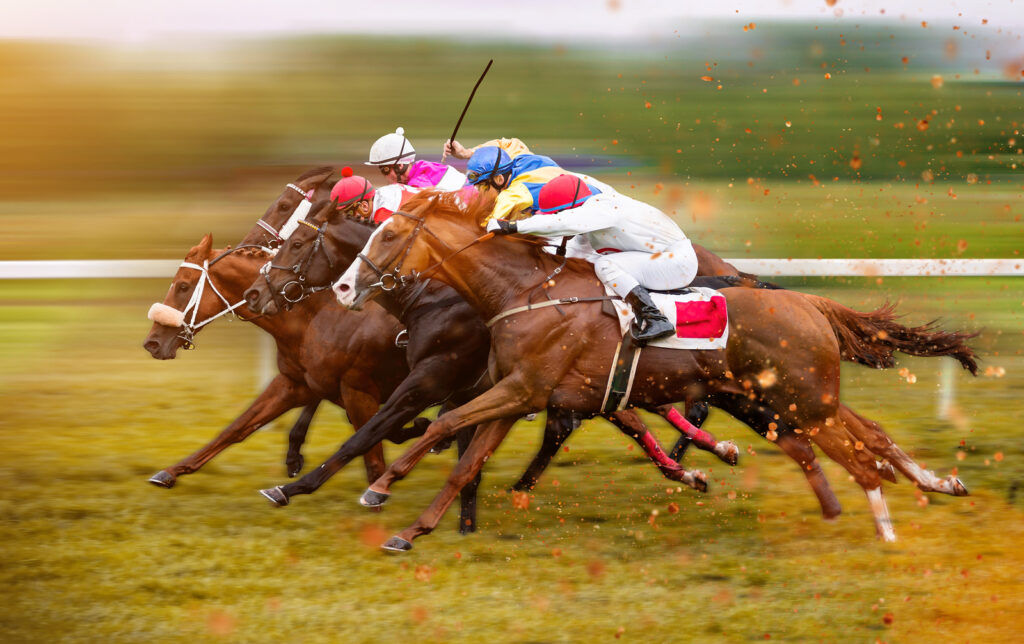 Race horses with jockeys on the home straight. Shaving effect.